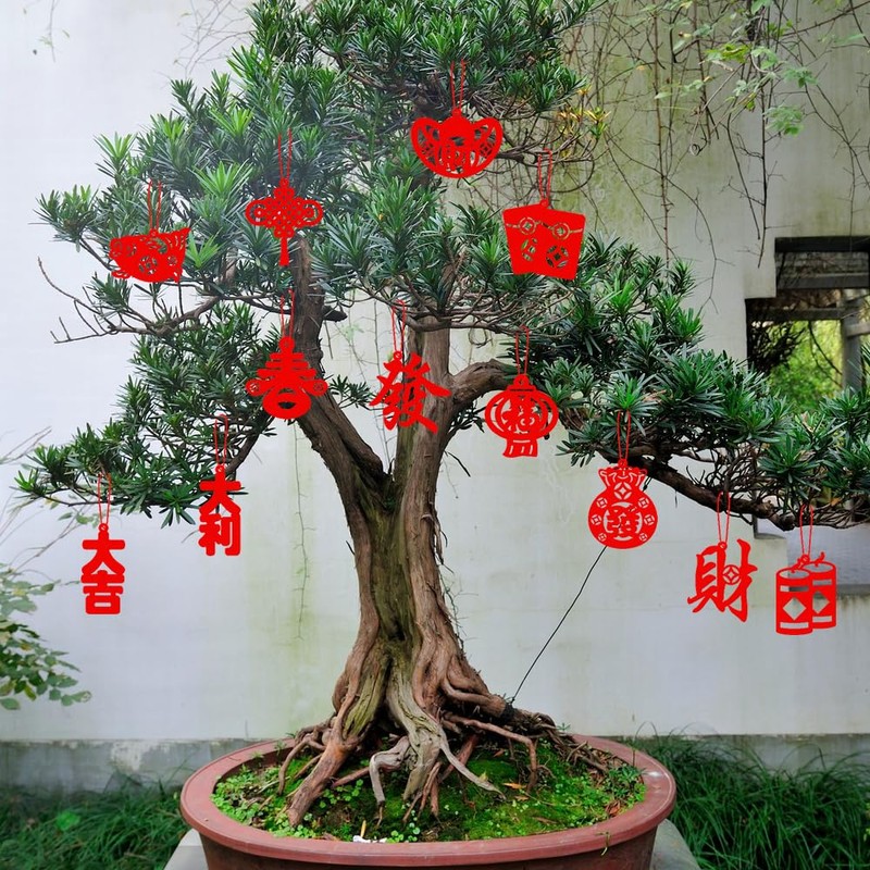 Bekecidi 12 Pieces 2024 Chinese New Year Decorations, Chinese Knot