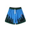 DIOTSR Men's Basketball Shorts, Athletic Graphic Mesh Shorts (Forest-Blue, Medium)