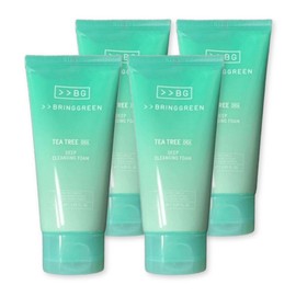Bring Green Cleansing Foam Tea Tree Cica Soothing Cleansing Foam 120ml 2 packs 2 / 브링그린 클렌징폼 티트리 시카 진정 클렌징폼 120ml 2개입 2개