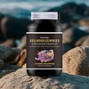 Irish SEA Moss Gummies | 120 Gummies | HIGH Strength