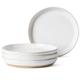 LE TAUCI Dinner Plates 10 Inch, Ceramic Flat Dish Set for Kitchen, Serve for Pasta,Steak, Pancake, Microwave, Oven & Dishwasher Safe, Housewarming Wedding Present - Set of 4, Arctic White
