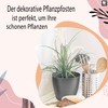 TULMERO Matte Flower Pot, Plastic Planter, Decorative Pot for Large