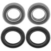 Caltric Rear Wheel Ball Bearing And Seals Kit for Suzuki