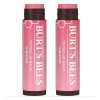 Burts Bees 메온셀 버츠비 틴티드립밤 히비스커스X2개 유효27년2월 틴트립스틱 립글로스 Mellor Cells Burt's Bees Tinted Lip Balm Hibiscus X2 Valid Until Feb 2027 Tinted Lip Gloss