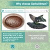 Garbuildman Extra-Large Freestanding Birdbaths Bowl, Detachable Decoration Spa with Metal