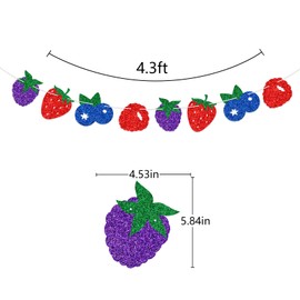 Berry Banner Jamberry Birthday Garland Strawberry Raspberry Blueberry Blackberry Party Decoration Baby Shower Glitter Pre-Strung Photo Prop