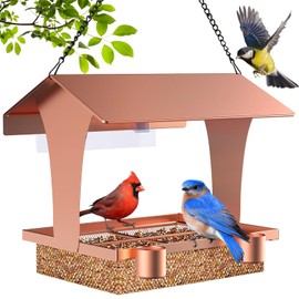 Window Bird Feeder for Viewing, Jimtong Larger Size Window Bird Feeders, Metal Window Bird Feeders for Outside with Outdoor Hanging Chain, Great Gift for Cats, Kids, Family and Yourself! (Rose Gold)