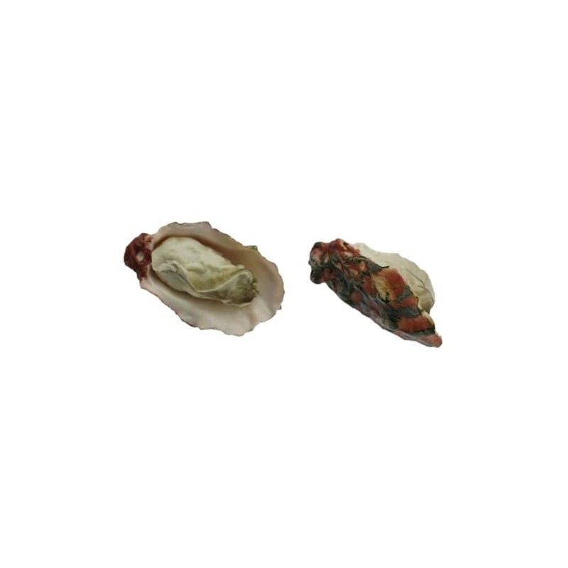 Speed Mao Oyster Food Model Food Sample Set of 5