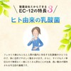 Hisamitsu Lacto EC – 12 1 Bags and 1 Trillion Lacto G X 30 Bags
