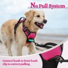 rabbitgoo Dog Harness Large Dog No Pull Pet Harness with