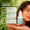 Suplemento Base Carnitina + Té Verde Nanoparticulado 30 Ml Gotero