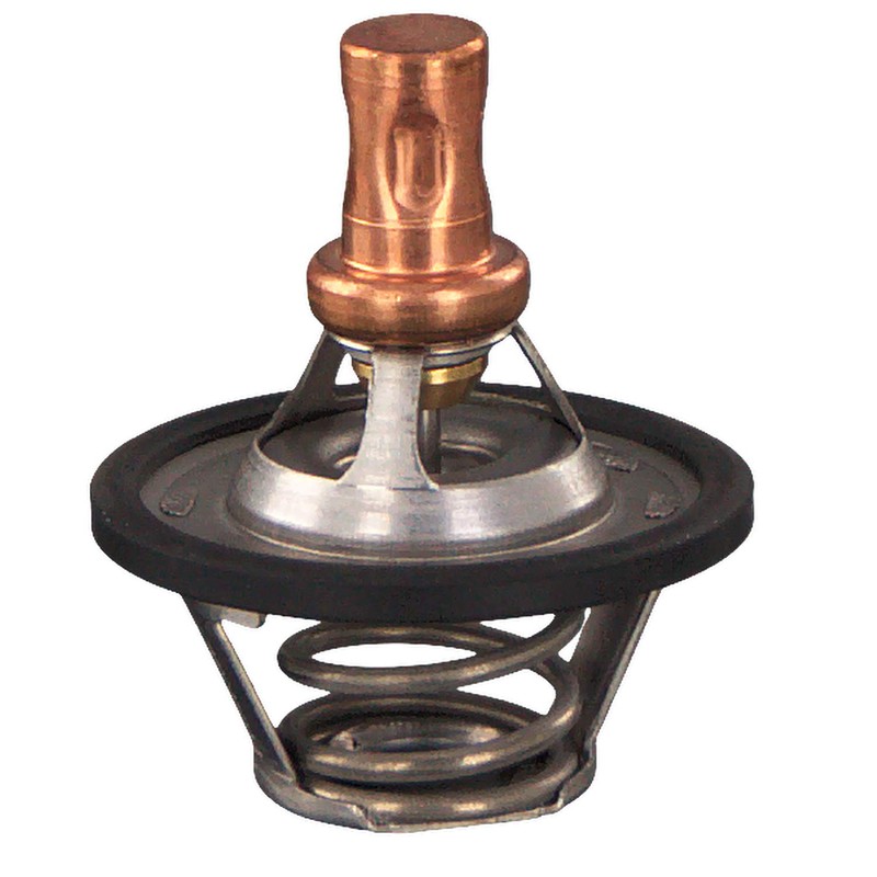 febi bilstein 09335 Thermostat with O-Ring
