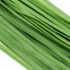 Safety 3 Garden Free Wire, 100 Pieces, Light Green, For