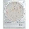 Shimadzu Diagnostics Compact Dry TCR 40 Sheets (For Quick Determination