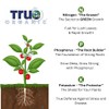 True Organic Fruit & Nut Food – Organic Fertilizer for