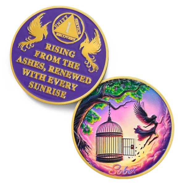 Break Free 1 Year Sobriety Coin - Rising from The
