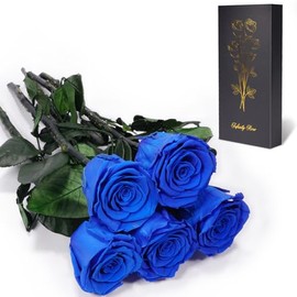 Yamonic - Flores preservadas para mamá, abuela, regalo de cumpleaños para mujeres, día de la madre, regalo de rosas reales para mamá, ella, esposa, novia en Navidad, día de San Valentín, aniversario