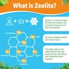 Zeolite Detox for Kids & Adults(Made in USA), Zeolite Gummies