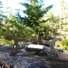 Kuvik Micro Titanium Solid Fuel Stove - Ultralight Stove for