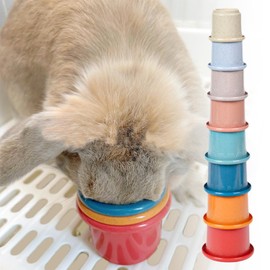 Rabbit Stacking Cups | Rabbit Toy for Boredom,Multicolored Stacking Cups, Foraging Playing Toys for Small Animals