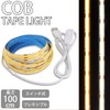 prendre COB PR-SWCOB100-WH Tape Light, Switch Type, Rope Light, String