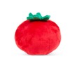 Petface Greenfingers Tigan The Tomato Plush Dog Toy