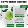500 Iceberg Lettuce Seeds for planting - Heirloom Non-GMO USA