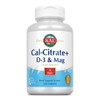칼 칼 시트레이트 플러스 D 3 매그 120 타블렛 Cal Calcium Citrate Plus D 3 Magn 120 Tablets