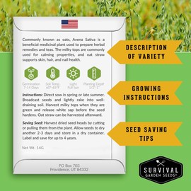 Survival Garden Seeds - Oat Seed for Planting - 2 Packs with Instructions to Plant & Grow Avena Sativa in Your Home Vegetable or Herb Garden - Medicinal Herb & Cover Crop - Non-GMO Heirloom Variety