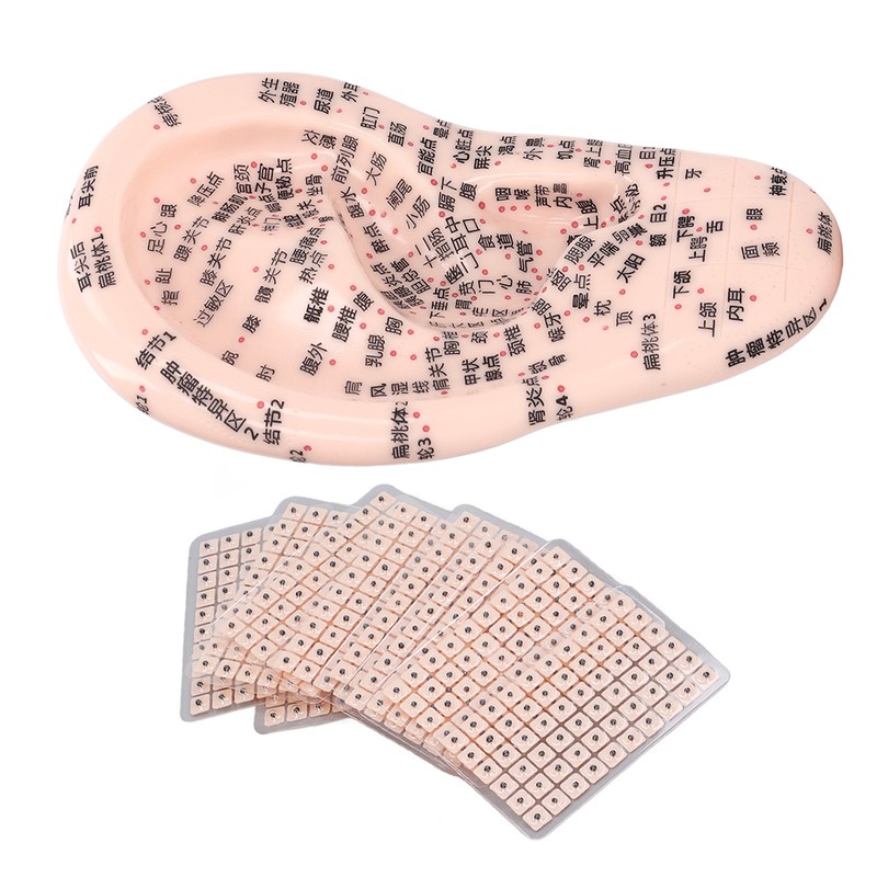 17cm Ear Point Probe 600pcs Auricular Patches Silicone Ear Model