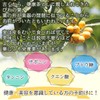 Healthy Company Domestic Loquat Leaf Tea, 0.1 oz (3 g)
