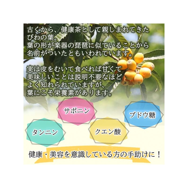 Healthy Company Domestic Loquat Leaf Tea, 0.1 oz (3 g)