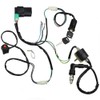 Riloer Ignition Rebuilt CDI Spark Plug Wiring Harness Kit for