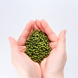 Chamdeun Health Science 유기농 찐연두 양배추환 동결건조 3g x 30포 Organic Steamed Green Cabbage Powder Freeze-Dried 3g x 30 Packs