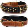 Leatherific Spiky Series Heavy Duty Spike Dog Collar | Premium