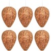 DECYOOL 6 Pack Paper Wasp Nest Decoy Hanging Wasp Nest