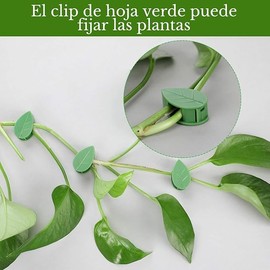 Clips de Pared para Plantas,60,Clips para Planta Trepadoras con 72 Adhesivos Acrílicos, Fijador de Plantas, Clips Invisibles para Enredaderas, Ganchos Autoadhesivos para Enredaderas