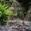 Panacea Rustic Wire Garden Cloches, Set of 6 – 20"