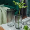 Muyan 9.8" Flower Vase for Decor Ribbed Glass Vase Modern