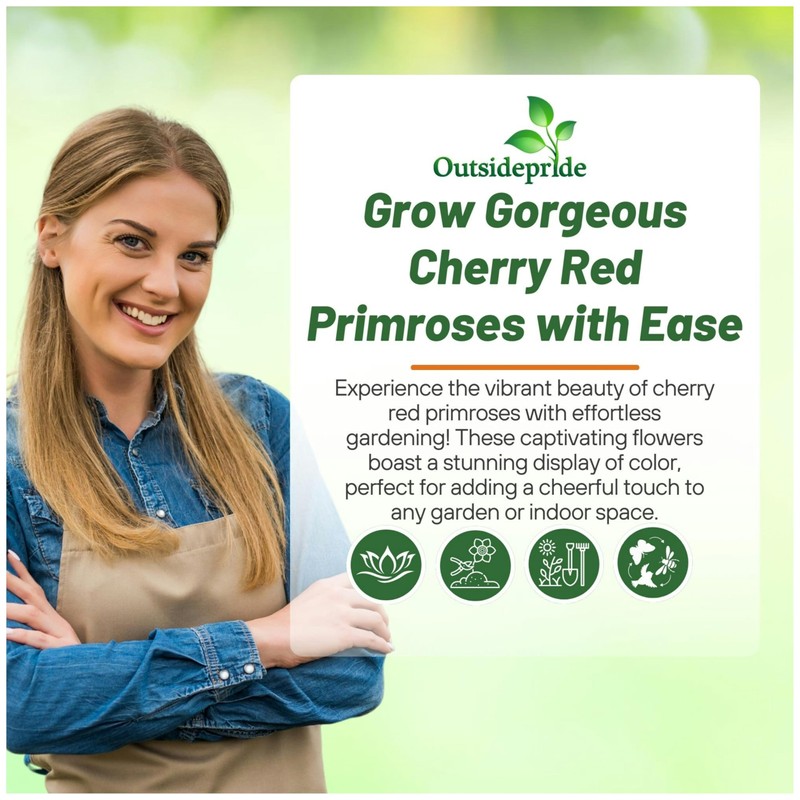 Outsidepride Danova Cherry Edge Common Primrose Seeds - 25 Pcs