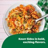 Knorr Pasta Sides Buffalo Chicken Flavor Pasta 8 ct for