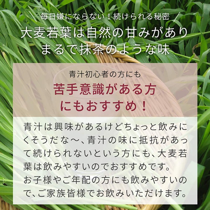 nichie 大麦若葉 青汁 100% 九州産 お茶製法 100g