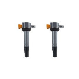 2 Pack Stick Coil for Sea-Doo 230 300 GTI GTX / Spark 900 2014-2023 | 420666142
