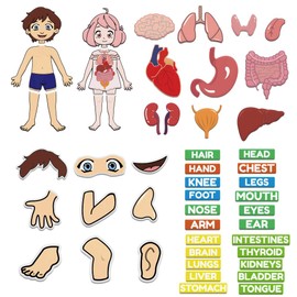 BEUNITONE Body Parts Learning Felt Story Board for Family 48 Pcs Preschool Human Organ Name Words Useful Felt Story Board Set Wall Activity for Birthday Christmas New Year Gifts