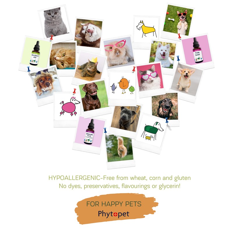 Phytopet Milk Thistle Tincture | 100ml | Liver & Gallbladder