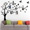 Vinil Arbol Genealógico Decorativo para Pared