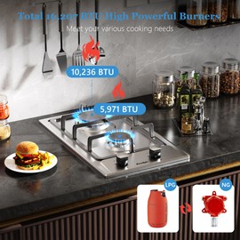 Cooksir Gas Cooktop 2 Burner - 12 Inch Built-in 2 Burner Propane Stove, NG/LPG Convertible Stainless Steel Gas Stovetop with Flame Out Protection for Apartment, Kitchen, RV, Dorms, 110V Plug in