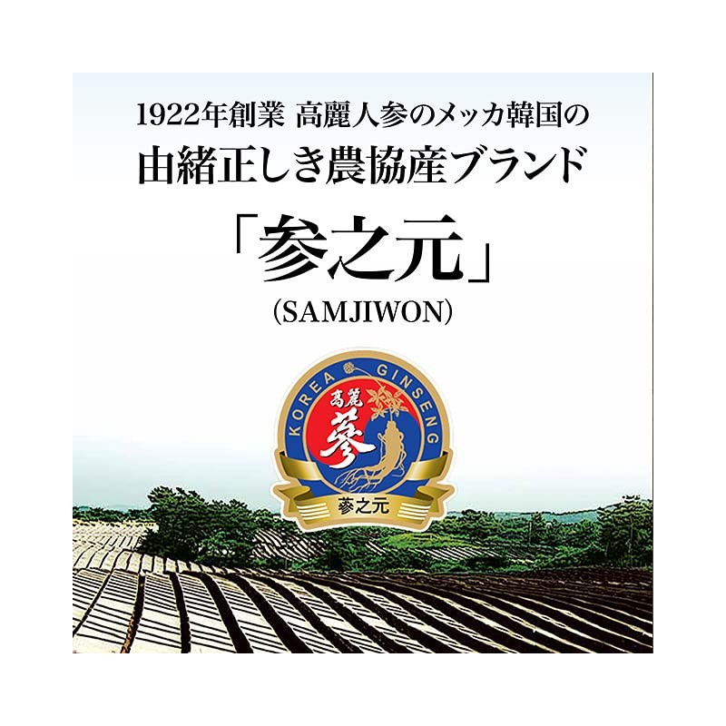 6年根・高麗紅参エキスパワースティック 10ml×10本 錦山人参農協 ／ 高麗人参エキス 朝鮮人参 紅人参 紅参 ginseng