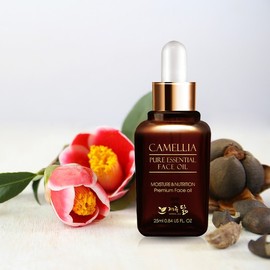 Jeju Dalm Pure Camellia Face Oil 25ml / 제주닮 퓨어 동백 페이스 오일 25ml