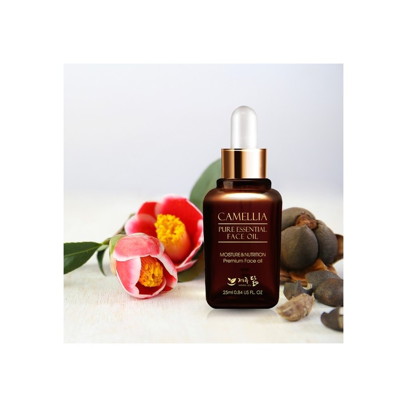 Jeju Dalm Pure Camellia Face Oil 25ml / 제주닮 퓨어
